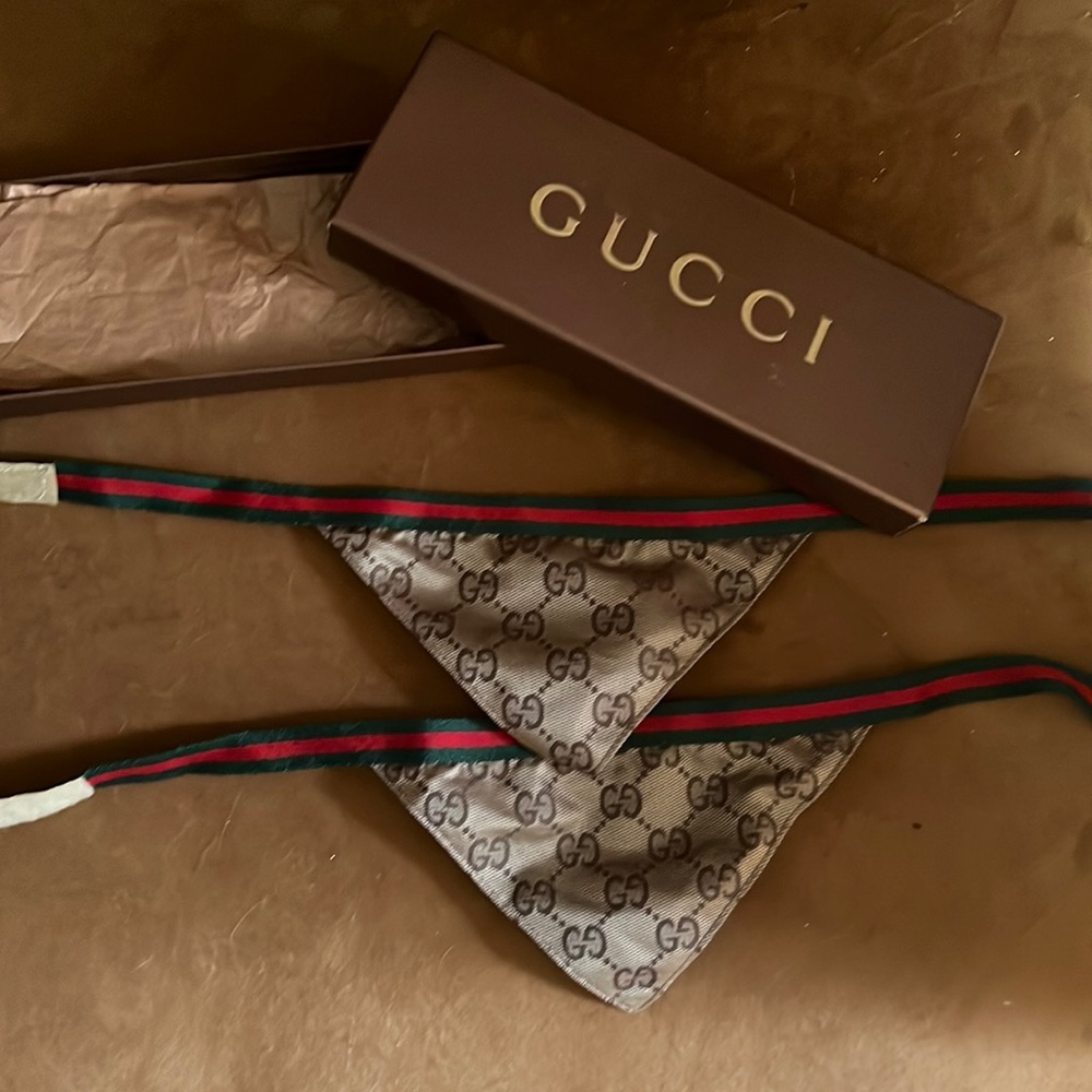 Gucci Dog Scarfs